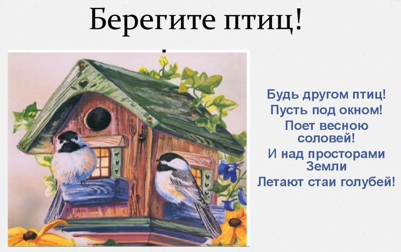 1 апреля - Международный день птиц