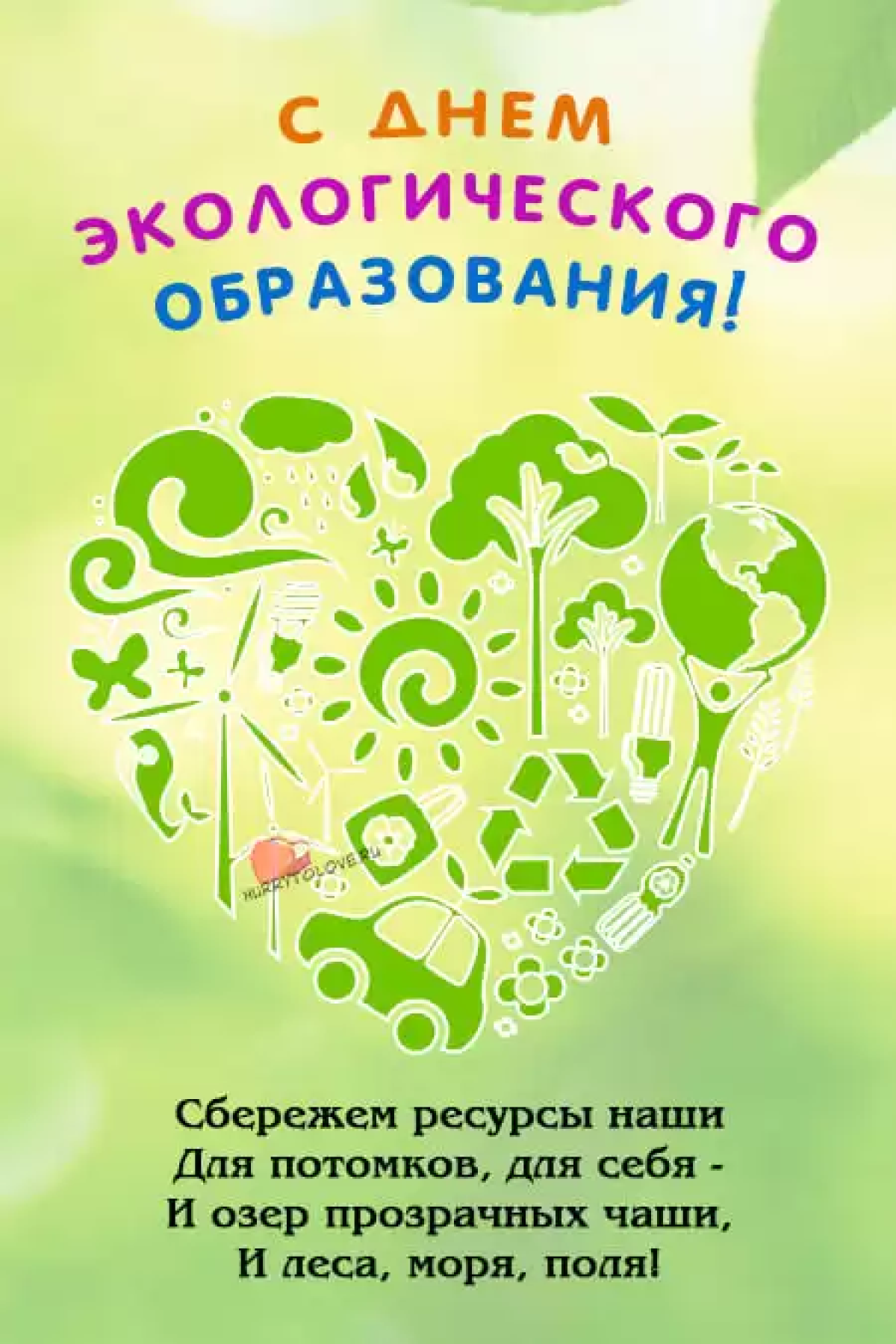 День экологического образования отмечается 12 мая