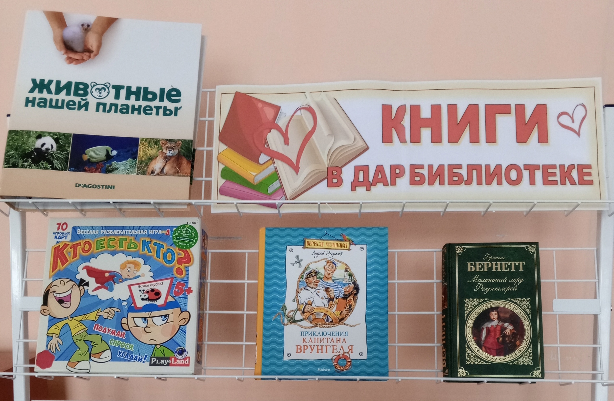 Книги в дар сельской библиотеке