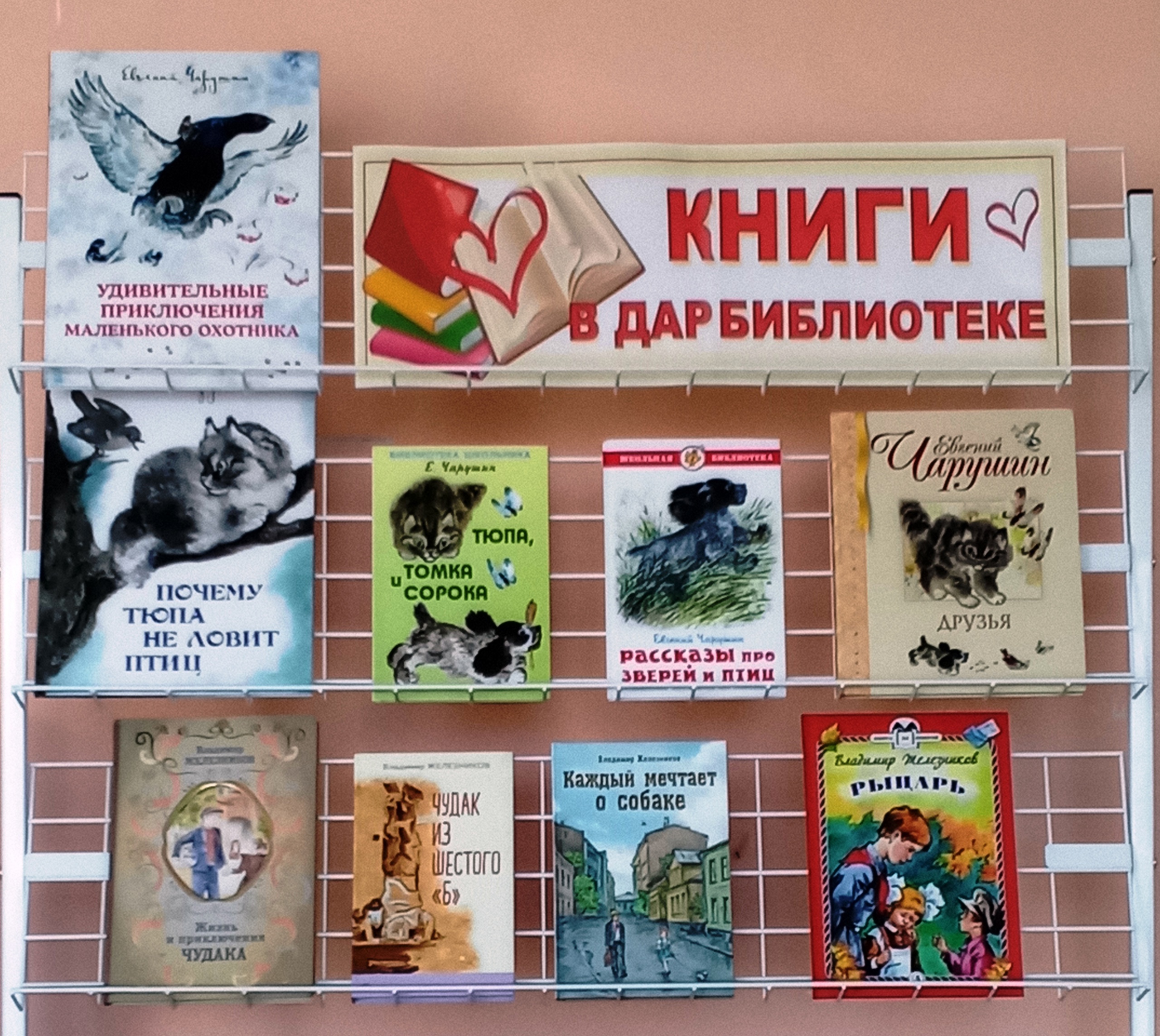 Книги в дар сельской библиотеке