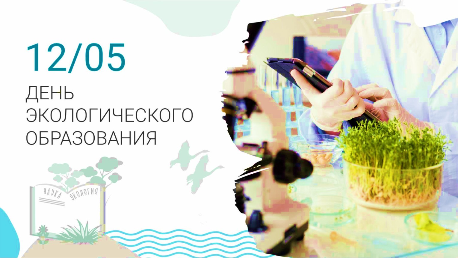 12 мая - День экологического образования