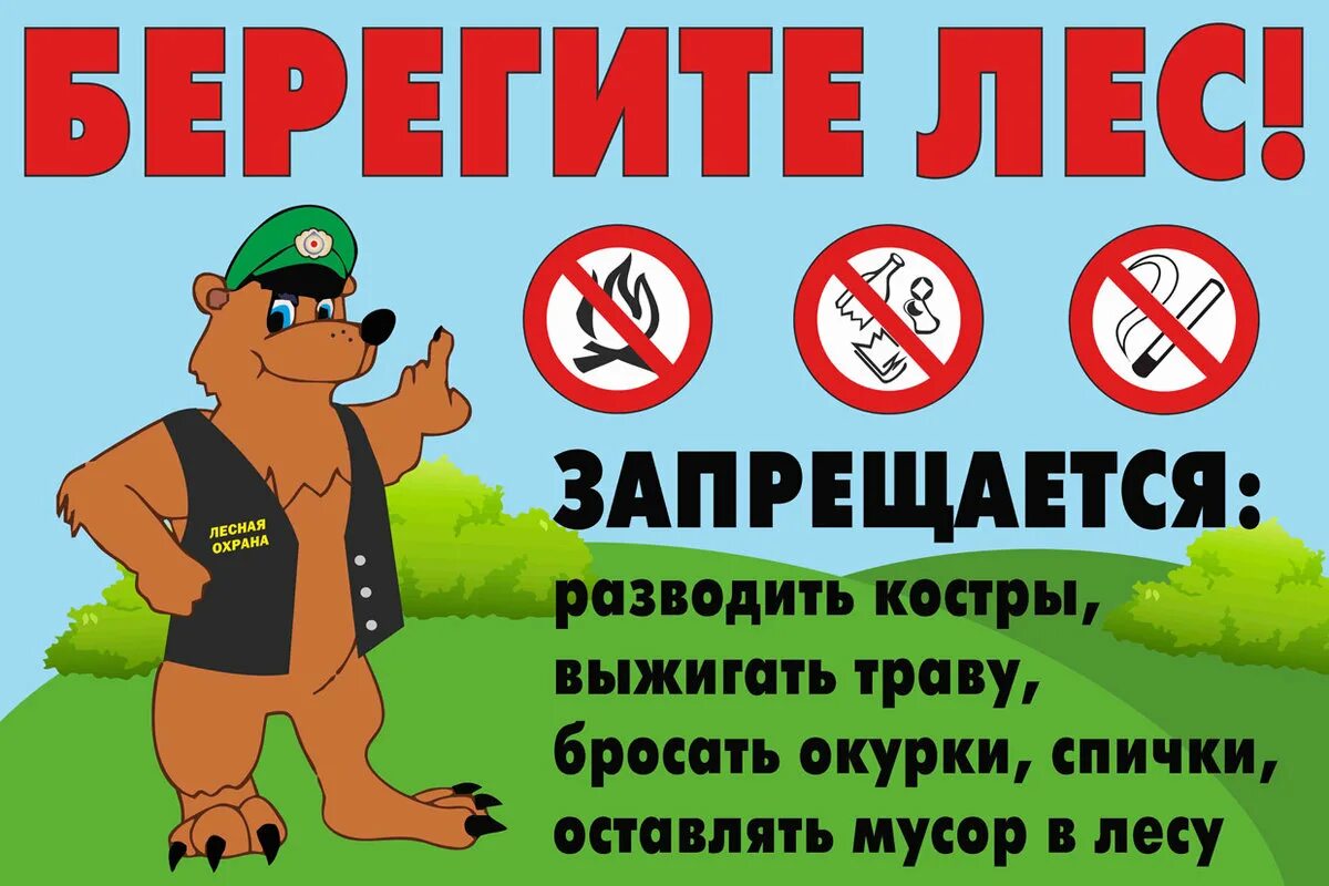 С 15 по&nbsp;17 сентября&nbsp; &ndash;&nbsp;Российские дни леса