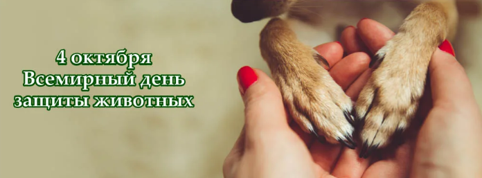 День защиты животных