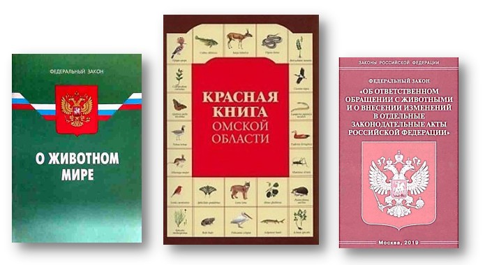 День защиты животных
