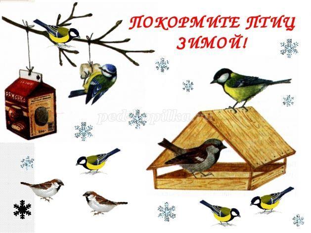 Акцию для ребят начальной школы «Покормите птиц зимой»